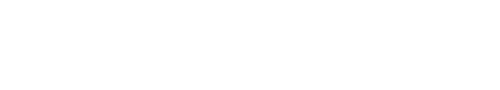 Tidal Logo